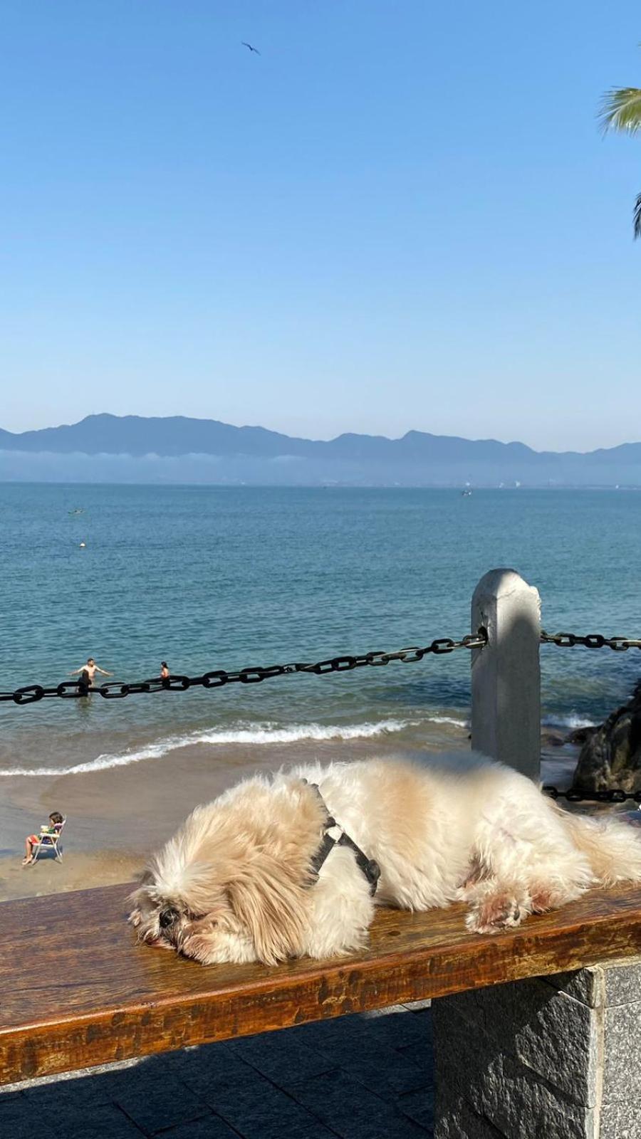 Apto Areia Azul-pe Na Areia- Petfriendly Premium Na Prainha *
