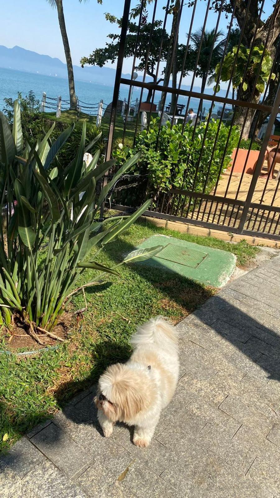 Apartment Apto Areia Azul-pe Na Areia- Petfriendly Premium Na Prainha Caraguatatuba