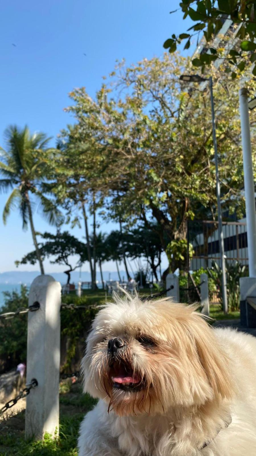 Apto Areia Azul-pe Na Areia- Petfriendly Premium Na Prainha