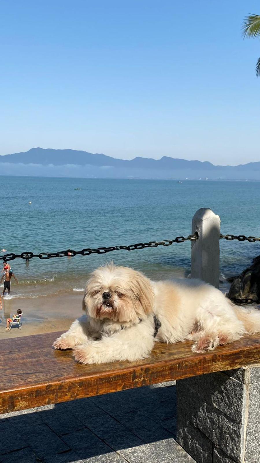Apartment Apto Areia Azul-pe Na Areia- Petfriendly Premium Na Prainha
